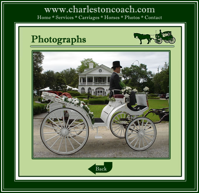 Charleston Coach is a luxury horse-drawn carriage service, specializing in distinctive weddings. Our carriage can be delivered to any location in the Charleston Area. Your Fairytale Awaits! (843) 709-0988